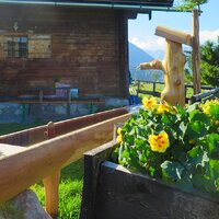 Neuer Wassertrog für unsere Stubenalm 